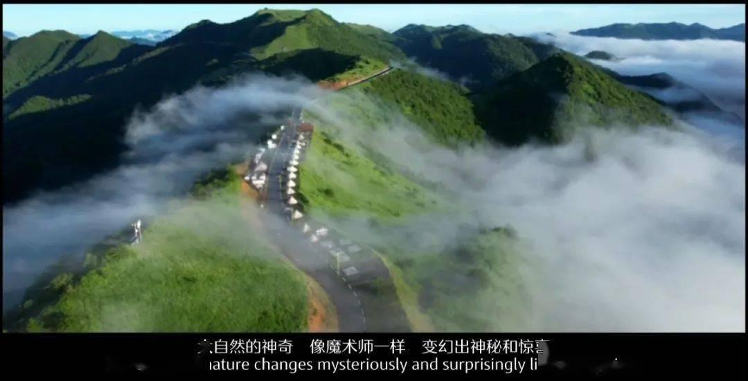 医学线下培训的-问答网站